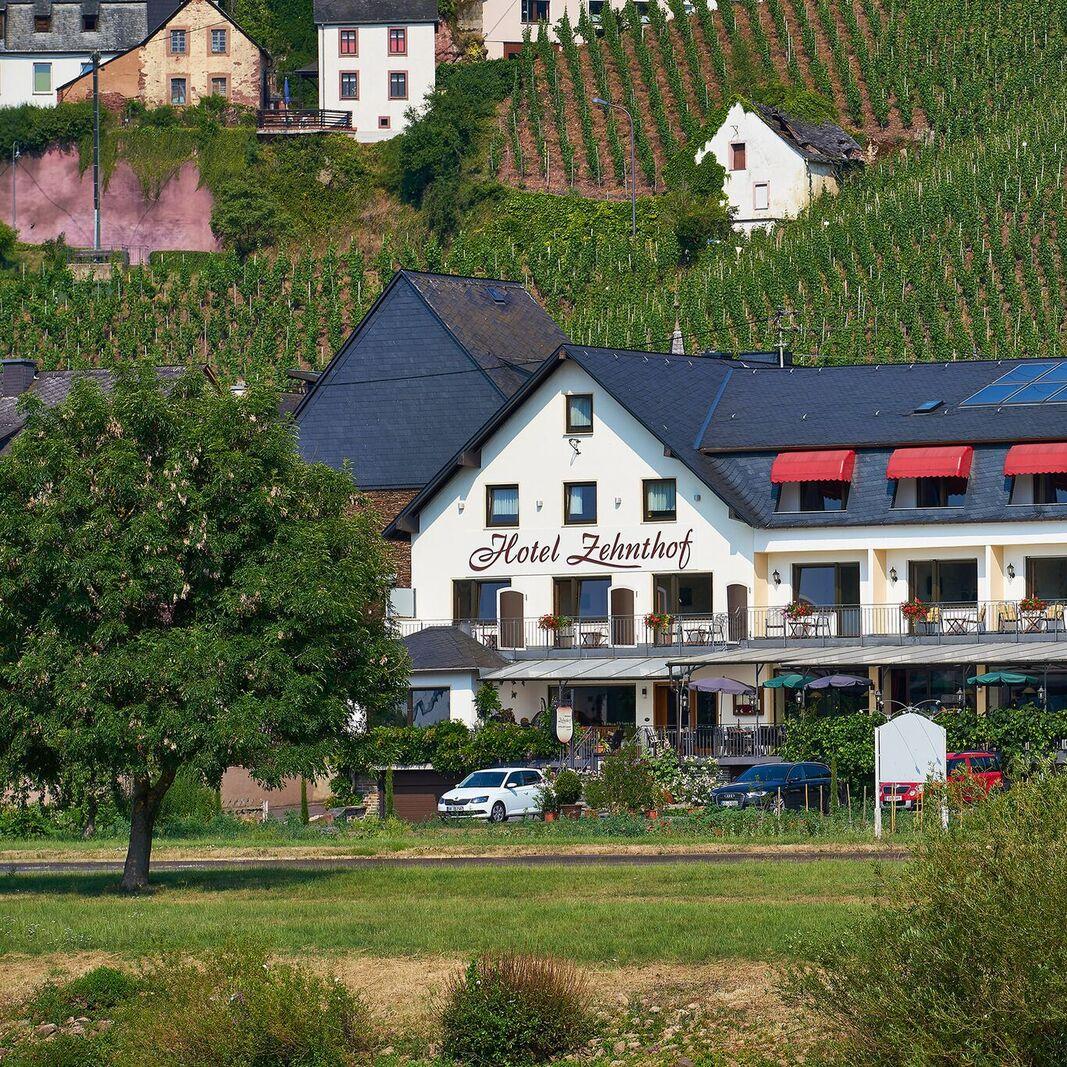Restaurant "Hotel Zehnthof --" in Ürzig