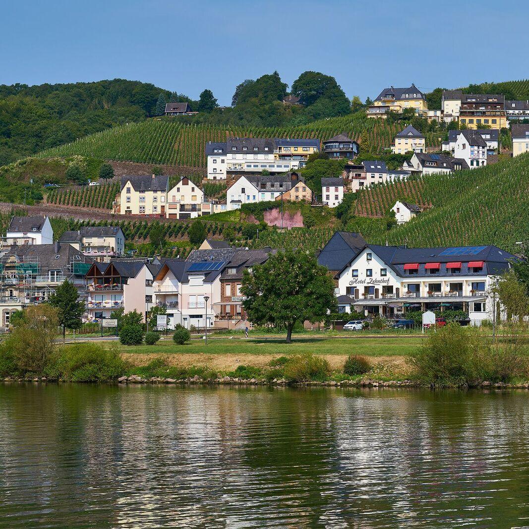 Restaurant "Hotel Zehnthof -Restaurant-" in Ürzig