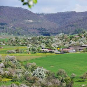 Restaurant "Haldenhof  - Landwirtschaftlicher Betrieb" in  Beuren