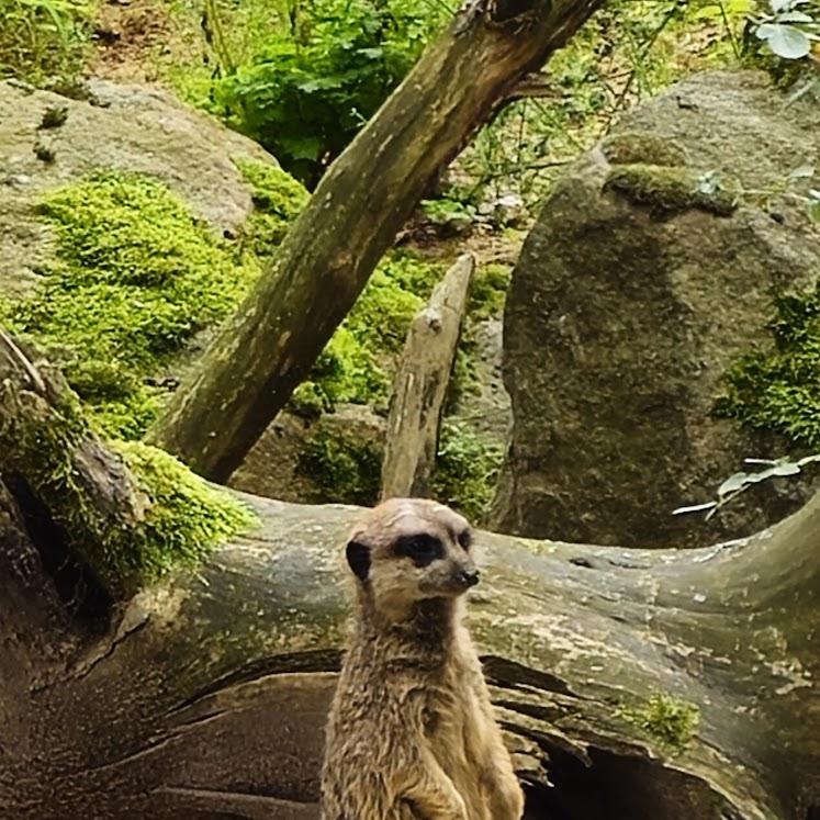 Restaurant "Richard Dötsch" in Schlammersdorf