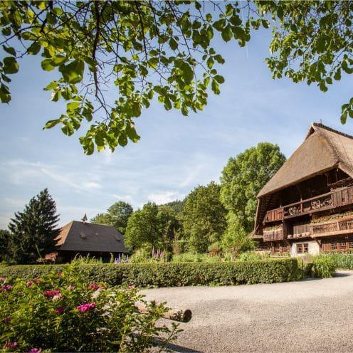 Restaurant "Blume  Hotel & Gastro" in Hausach