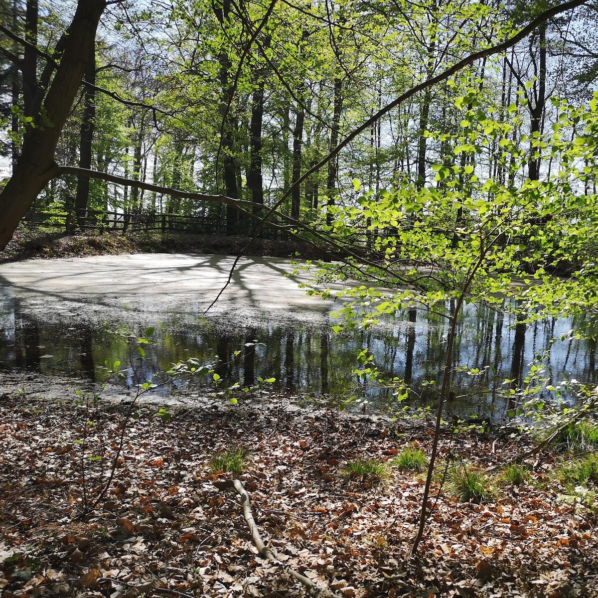Restaurant "Schützenhof Heinz & Maria Taubke-Westerhaus" in  Neuenkirchen-Vörden