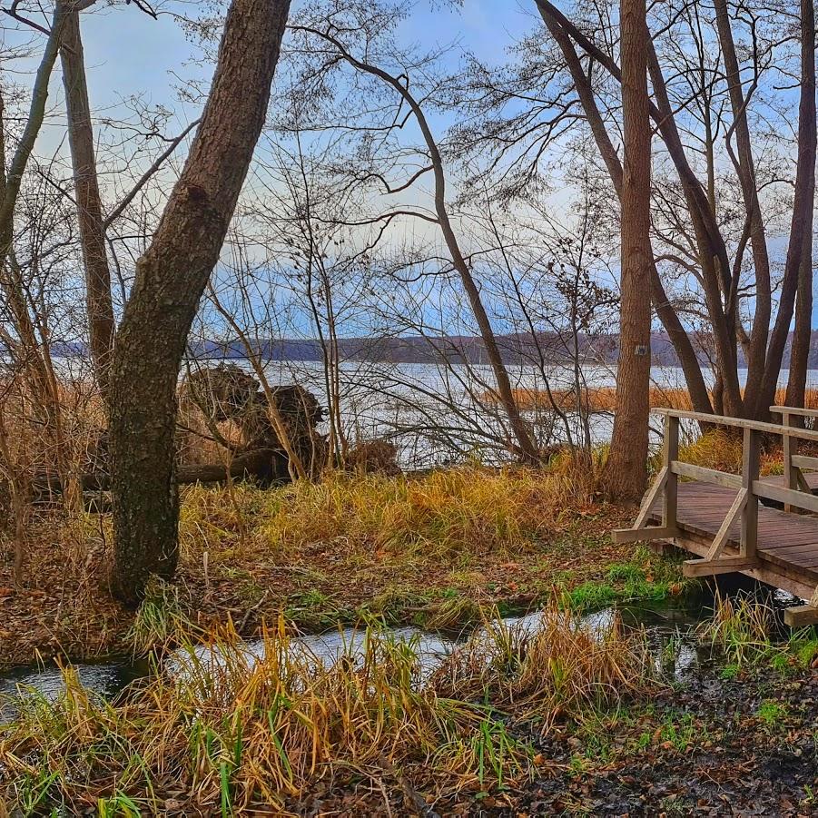 Restaurant "Café Winzig" in  Petershagen-Eggersdorf