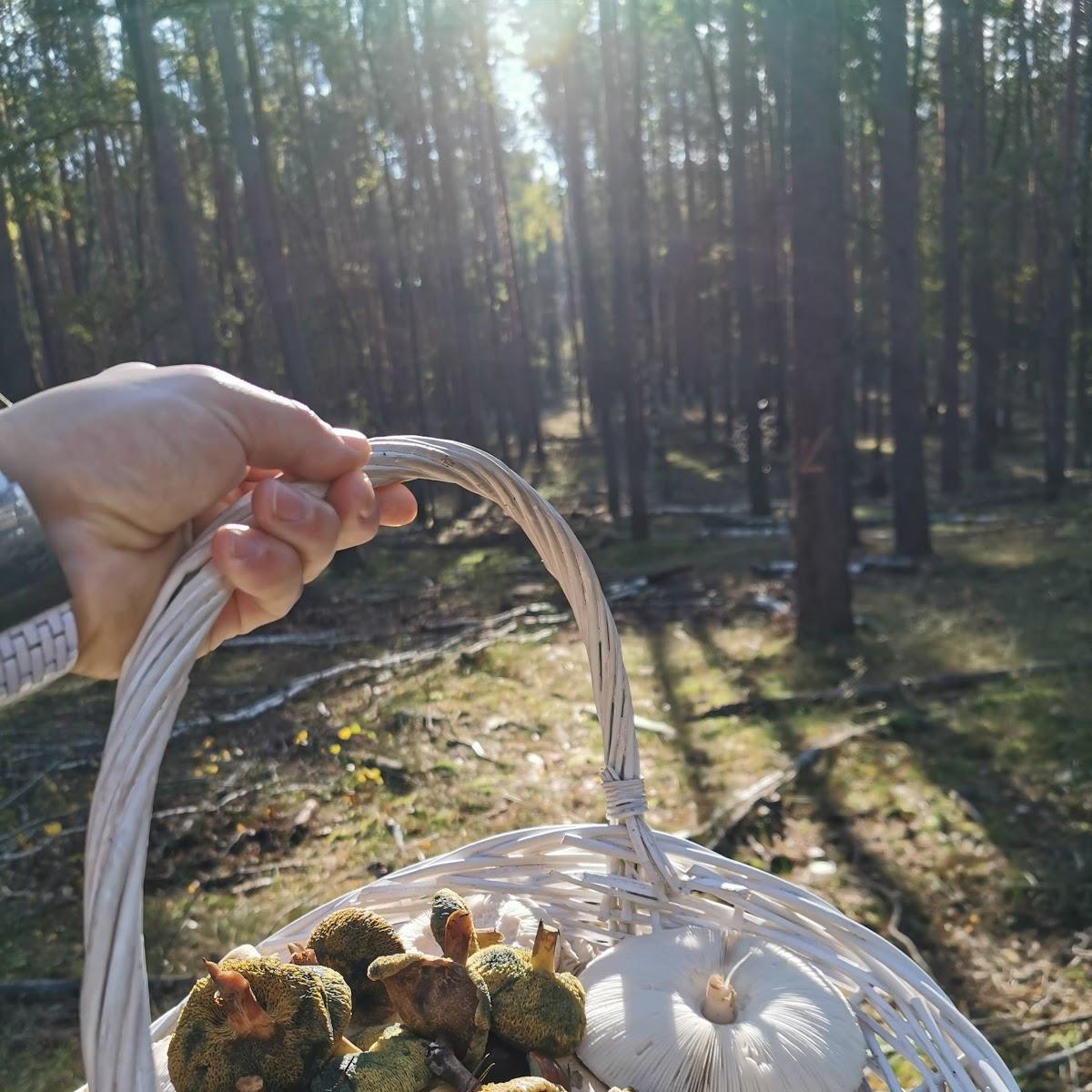 Restaurant "In die Pilze" in  See