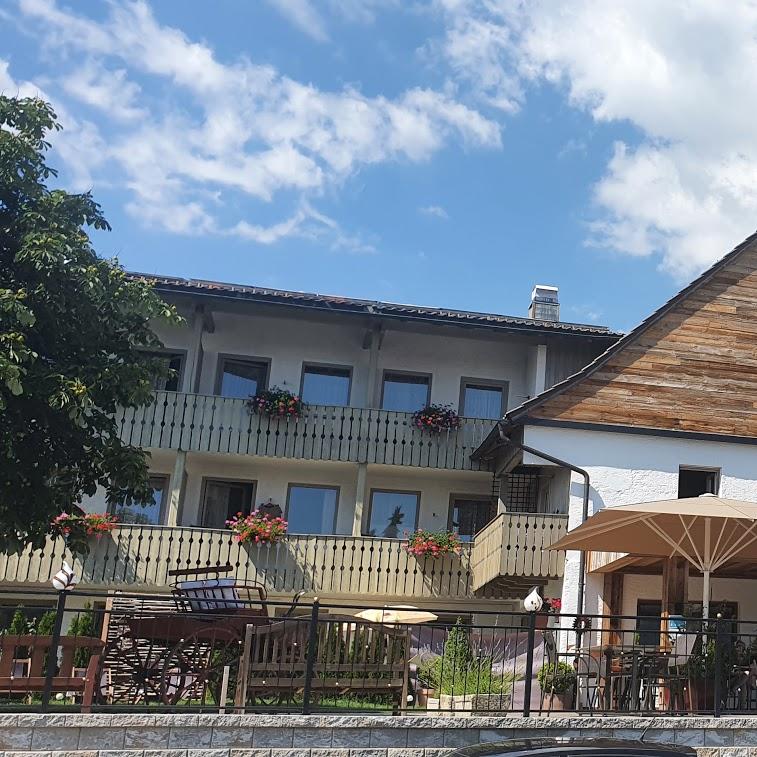 Restaurant "Hotel zur Post" in  Langdorf