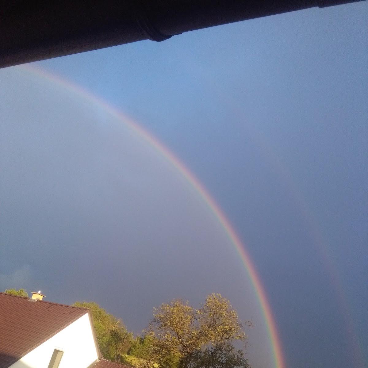 Restaurant "Gastwirtschaft H. Scheele" in  Twistetal