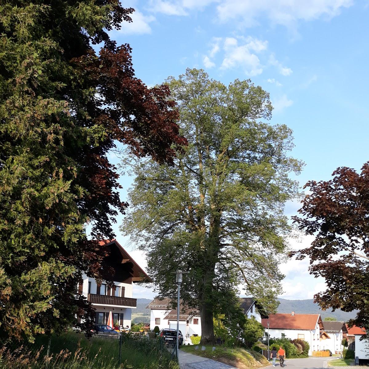 Restaurant "Gasthof zur Linde" in  Rinchnach