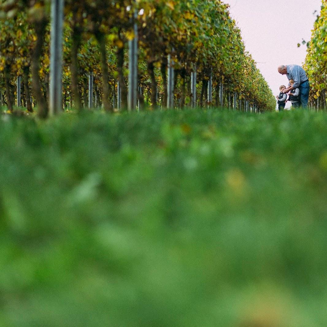 Restaurant "Weingut Karl-Jos. Eckes" in  Wallhausen
