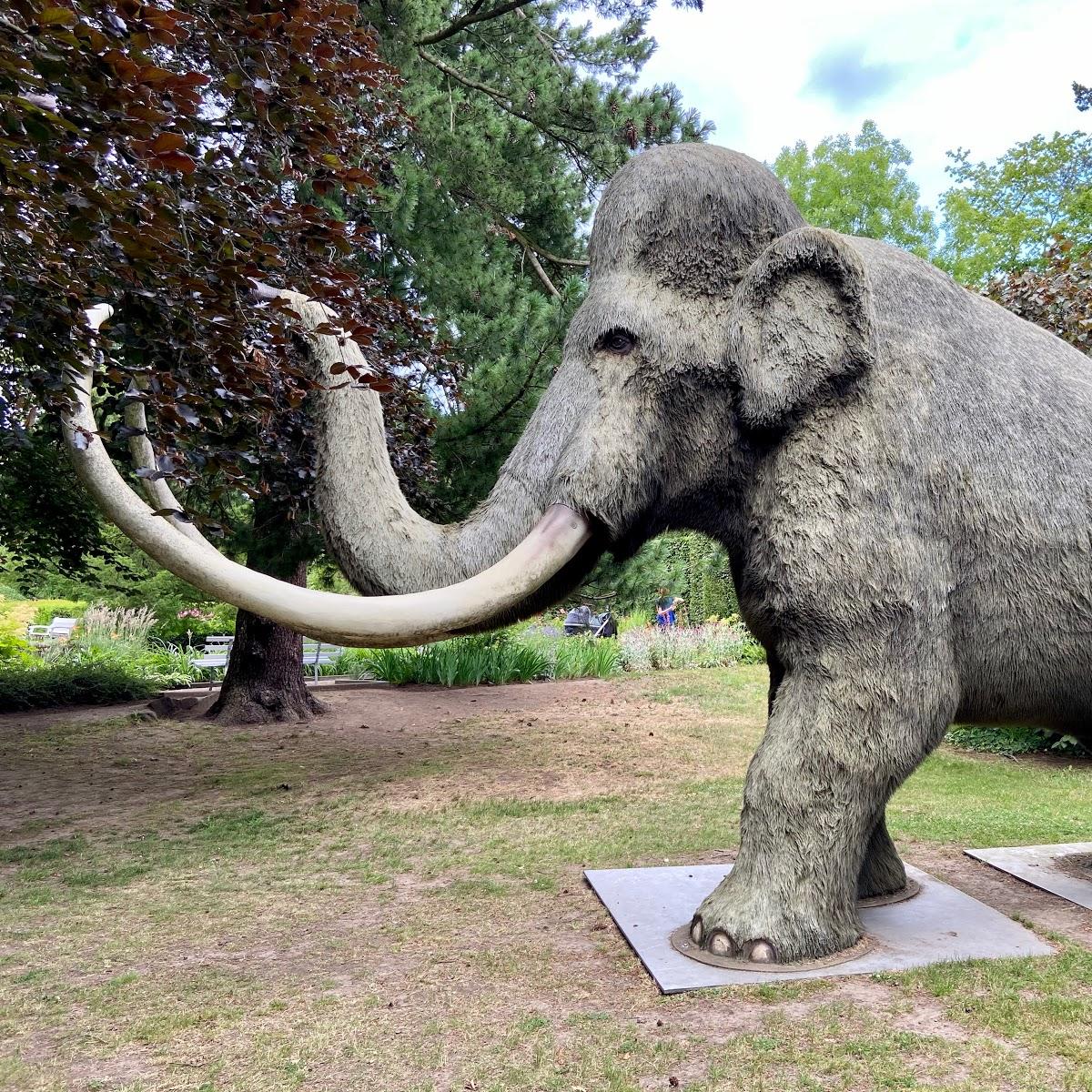Restaurant "Hotel & Restaurant Berliner Hof" in  Bleicherode