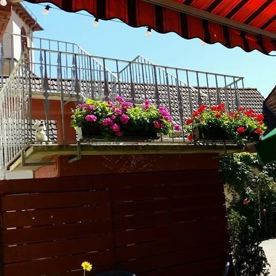 Restaurant "Gaststätte & Biergarten zum Lamm |  OT Kleestadt | Deutsche, Indische & Italienische Küche | Landsknechtkeller" in Groß-Umstadt