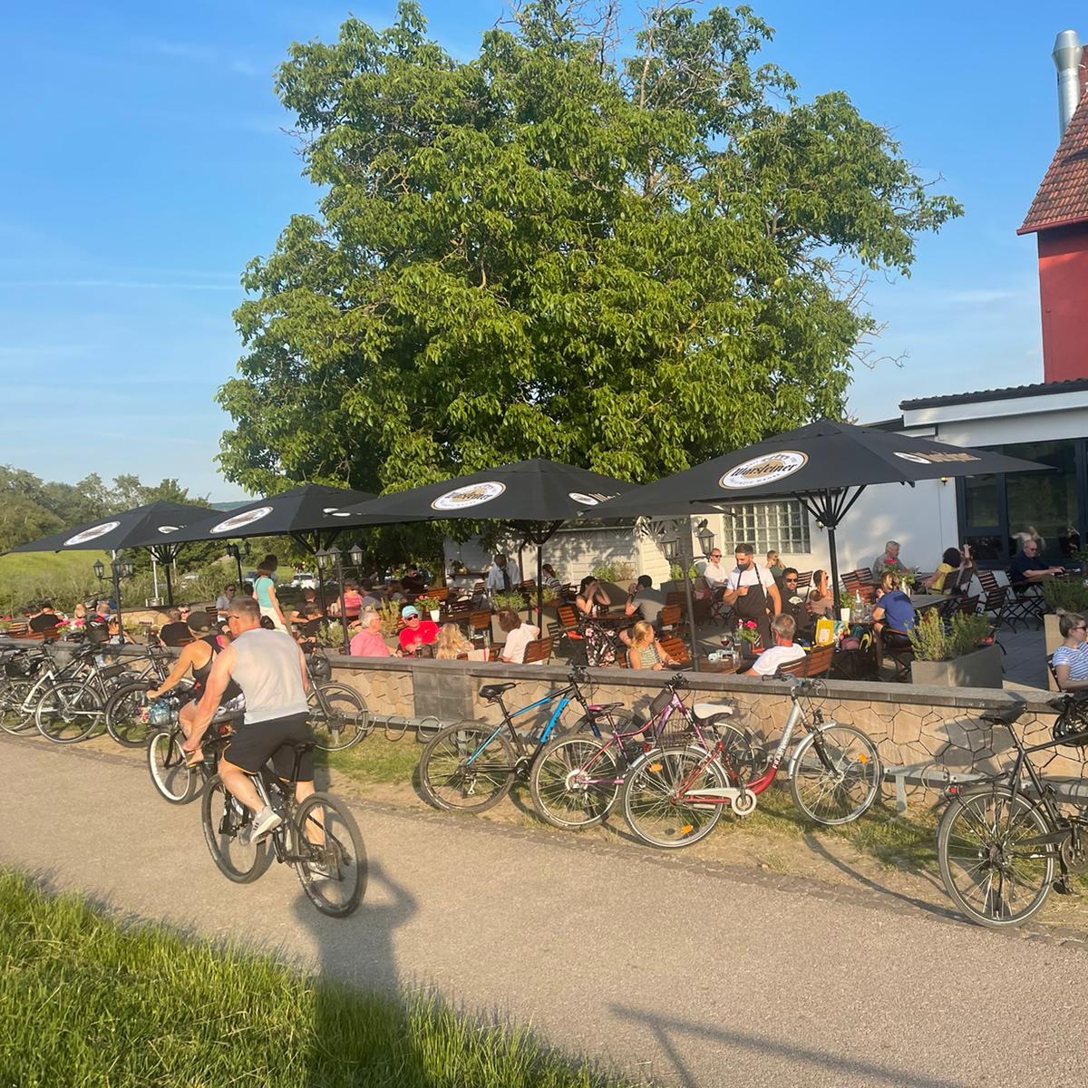Restaurant "terrasse Heidenfahrt" in  Rhein