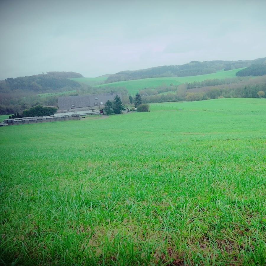 Restaurant "Hauswirth" in  Arnsberg