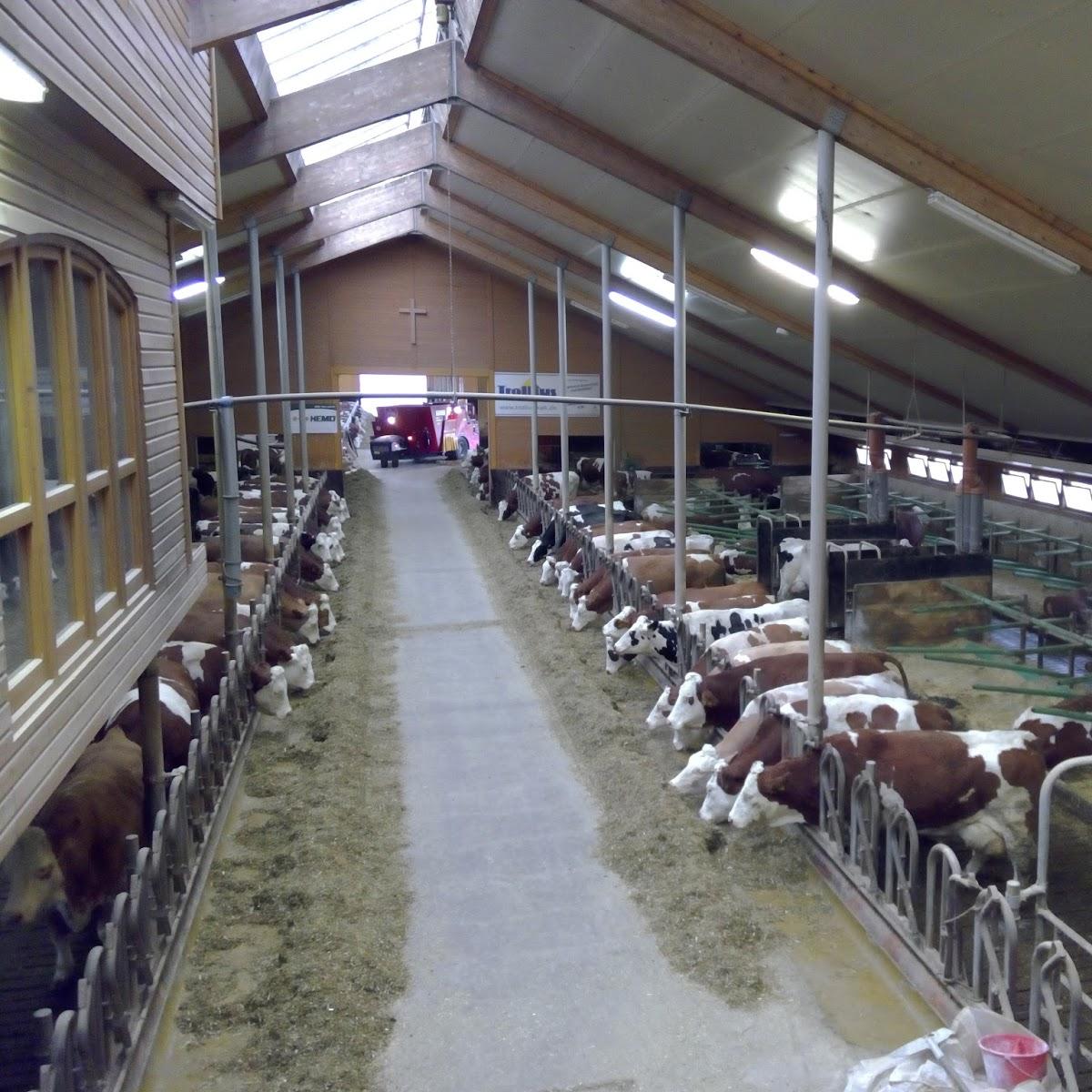 Restaurant "Kuhstallcafe Illkofen" in  Beratzhausen