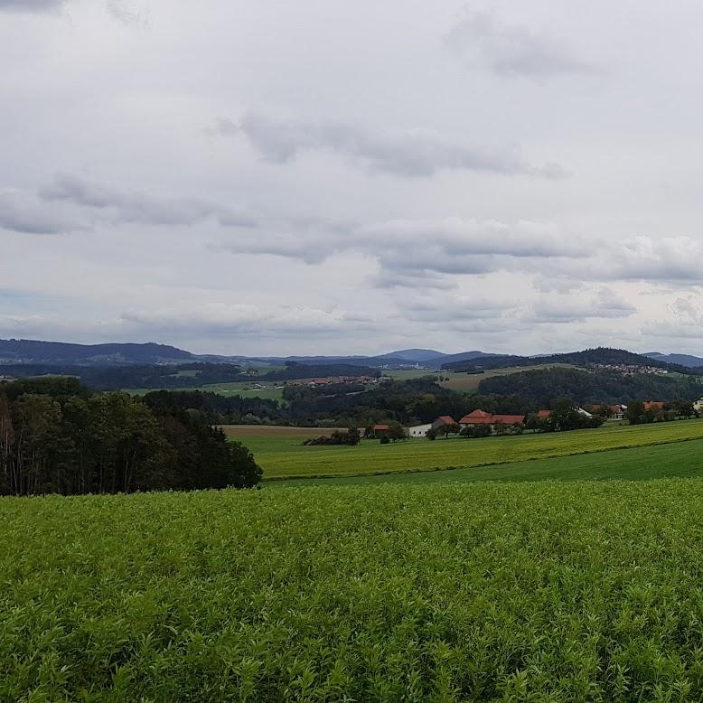 Restaurant "Am König-Max-Stein" in  Thyrnau