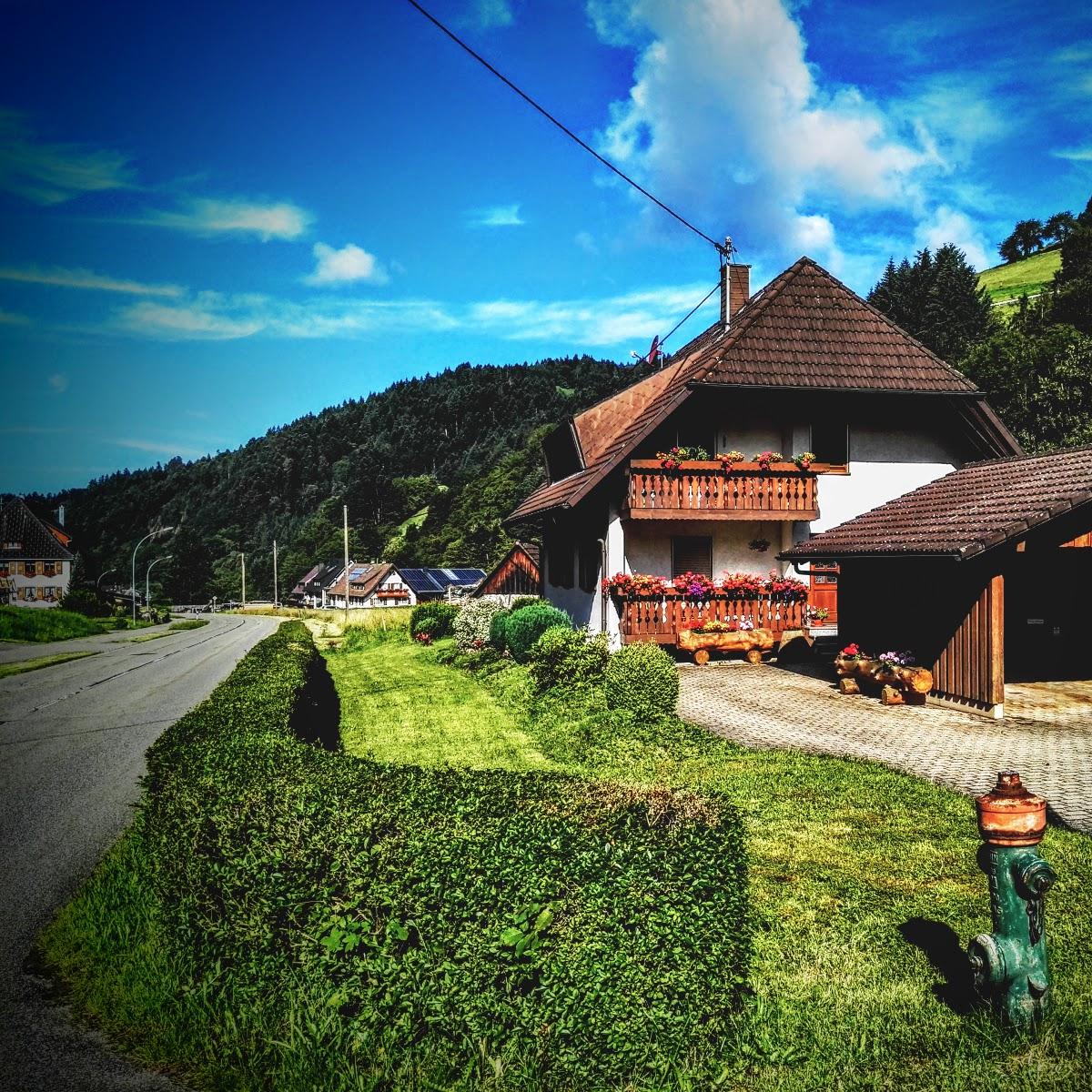 Restaurant "Gasthaus-Pension Sonne" in  Münstertal-Schwarzwald