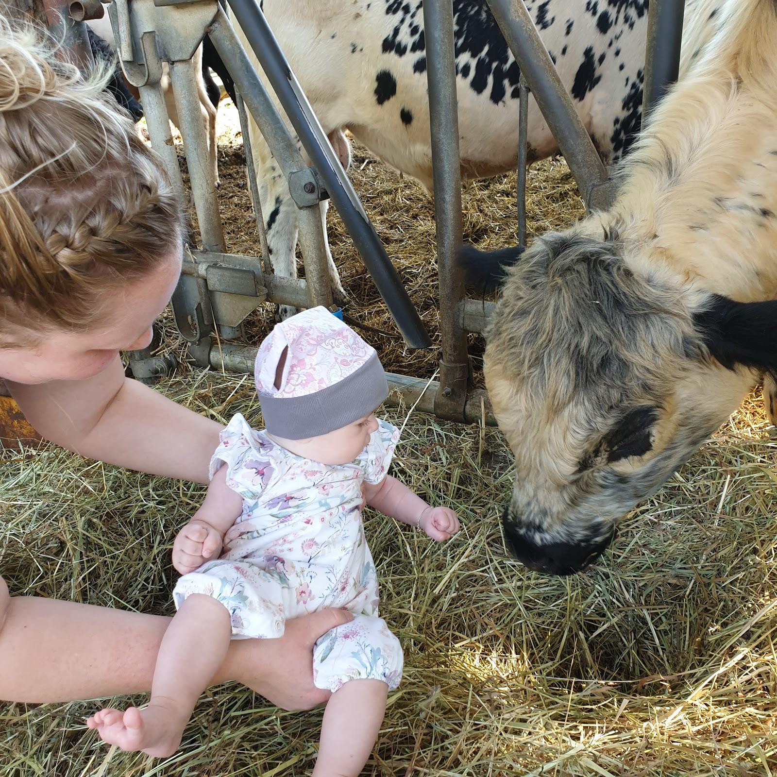 Restaurant "Imbiss am Schwarzfelder See Unternehmergesellschaft (haftungsbeschränkt)" in  Leipheim