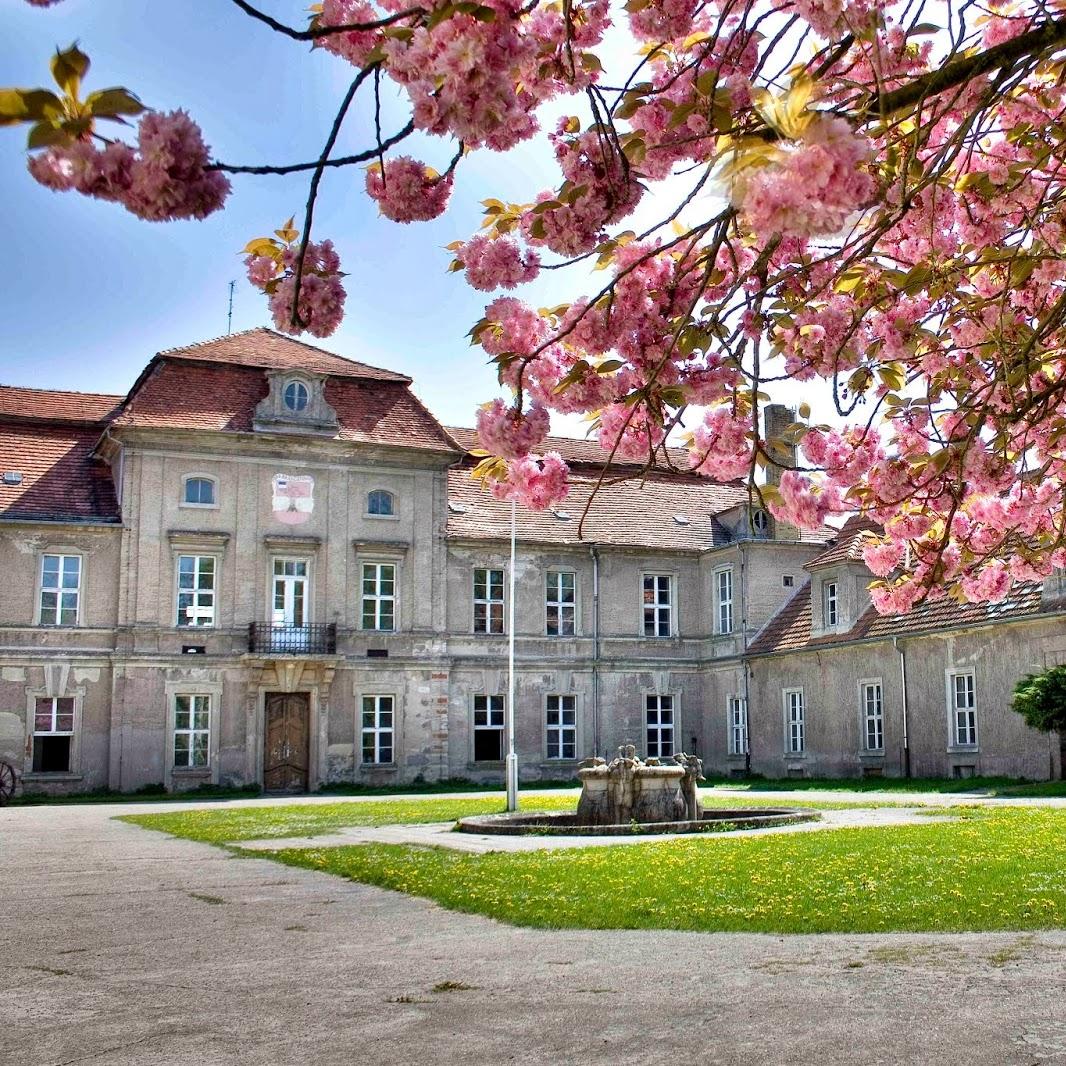 Restaurant "Schloss Plaue" in  Havel