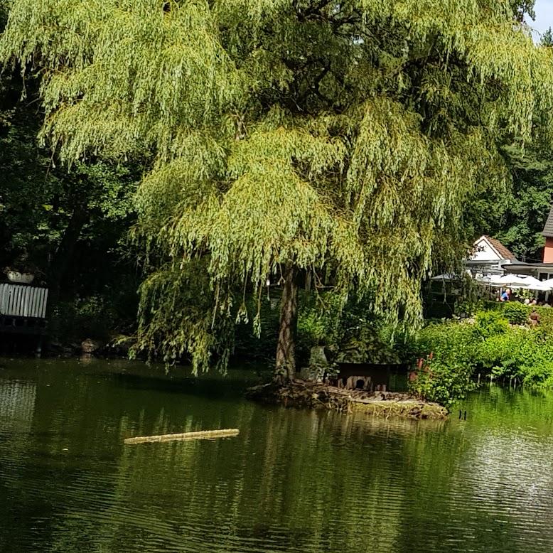 Restaurant "Fischerhütte" in  Lippspringe