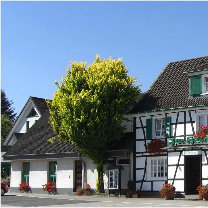 Restaurant "Steffens Hotel Restaurant Zur Heide" in Burscheid