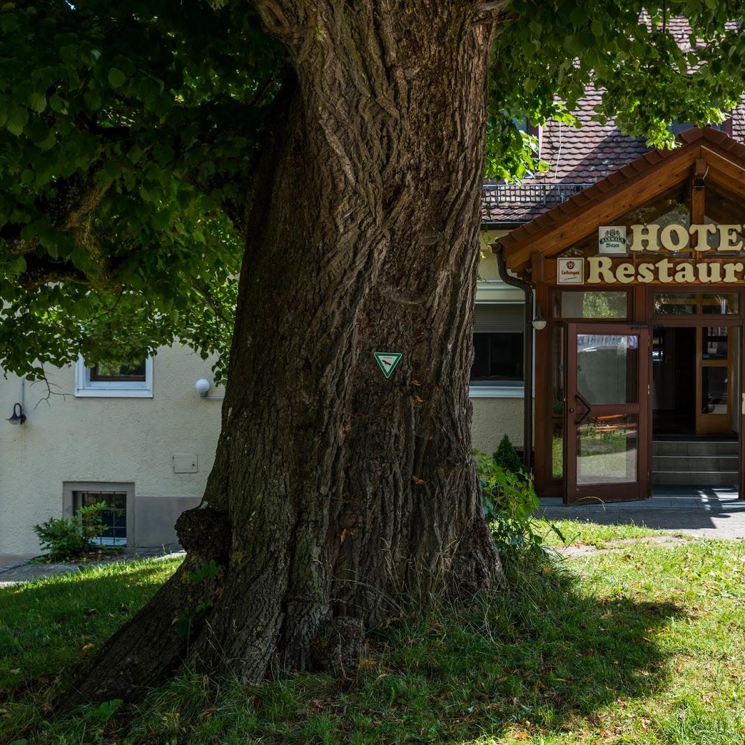 Restaurant "Hotel Restaurant Hohentwiel" in Singen (Hohentwiel)