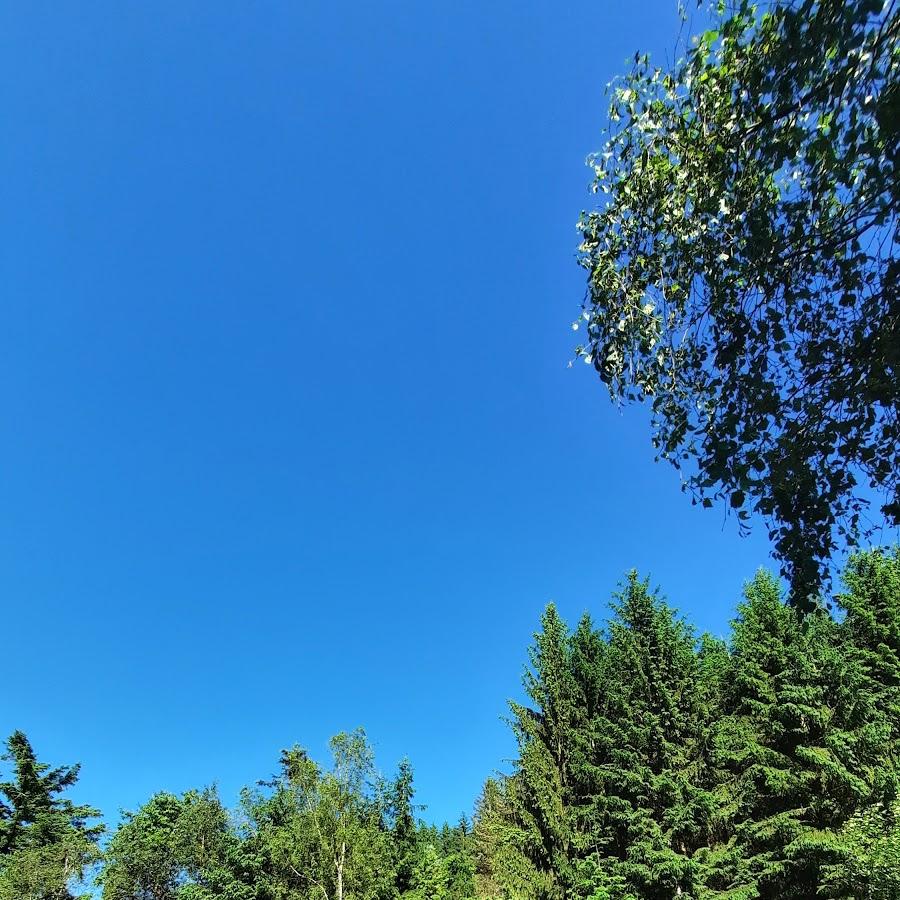 Restaurant "Gastwirtschaft Grümpeltal" in  Wilhelmsthal