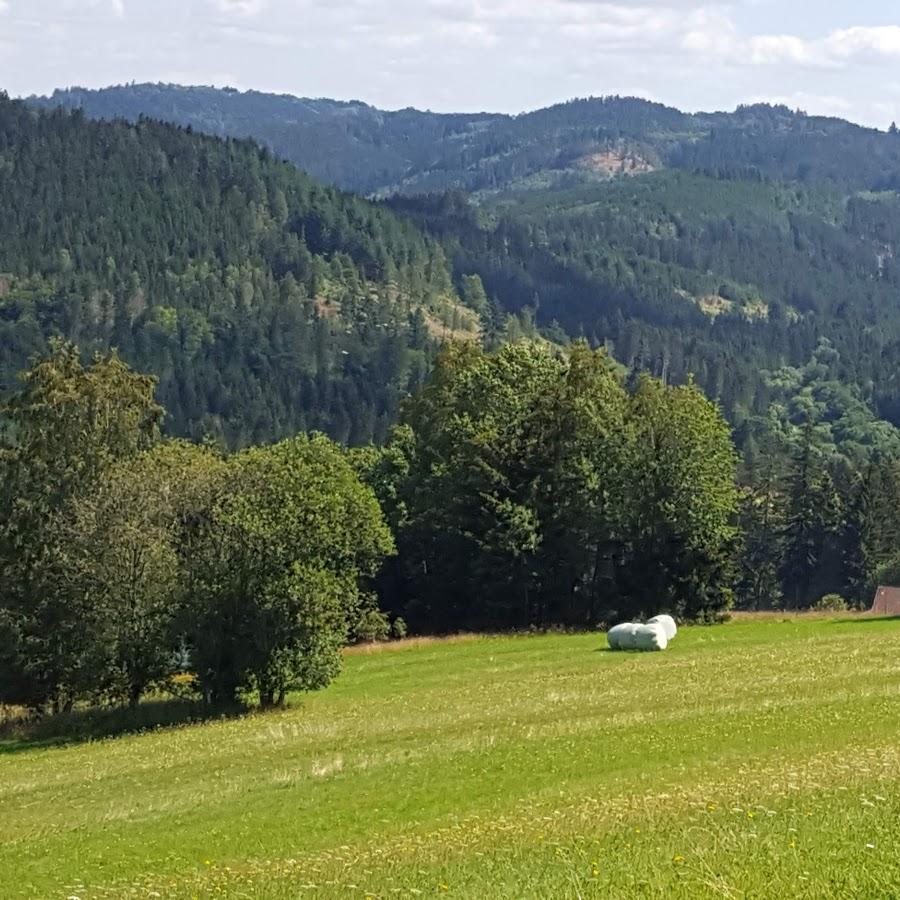 Restaurant "Gasthof Hubertus-Stüberl" in  Wallenfels