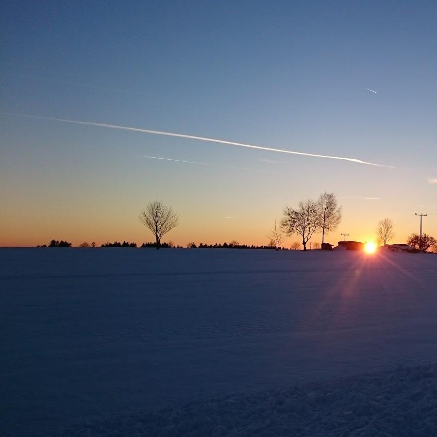Restaurant "Domes Pizza" in Steinwiesen