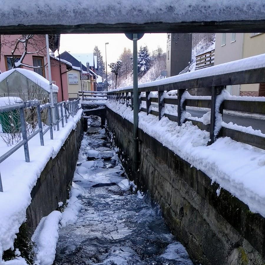 Restaurant "Gasthof Am Trogenbach" in  Ludwigsstadt
