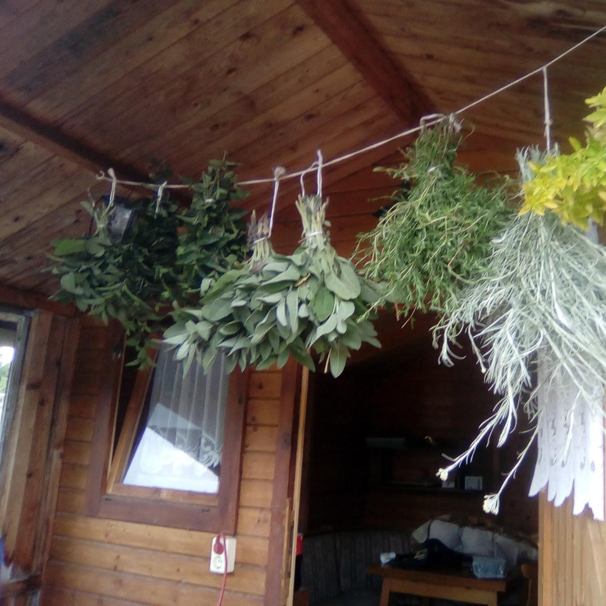 Restaurant "Gaststätte Zum Löwen" in  Tonna