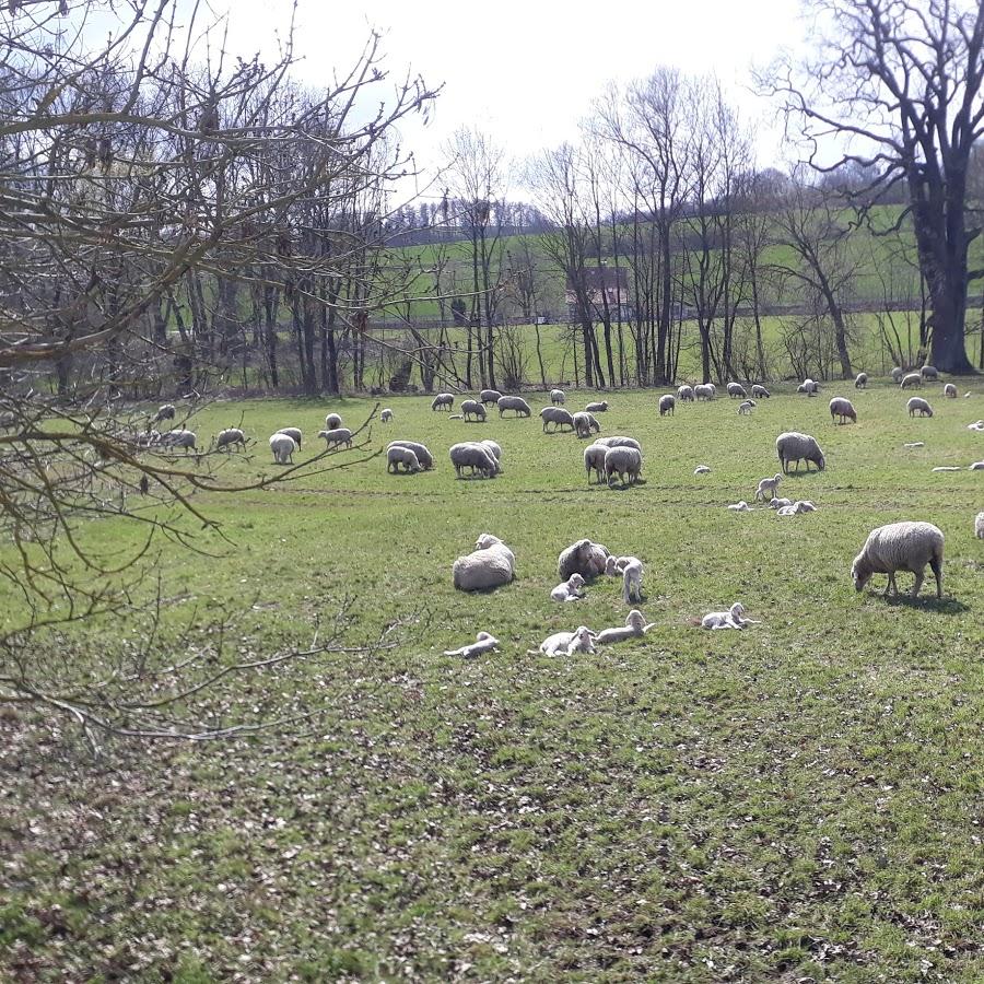Restaurant "Gaststätte Müller" in  Steinheim