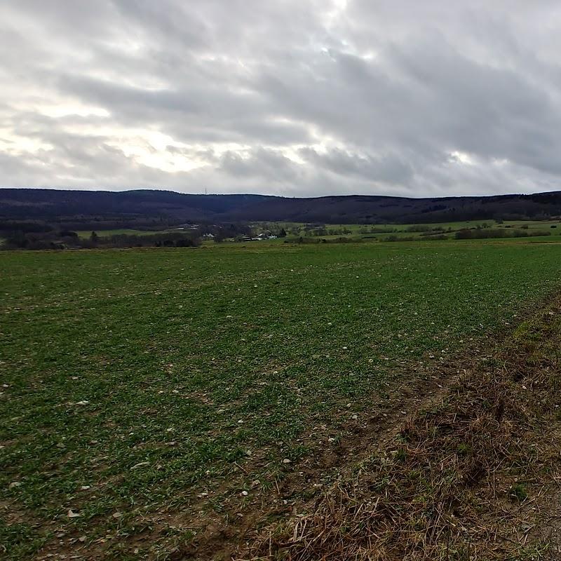 Restaurant "Zur Wintermühle" in  Neu-Anspach