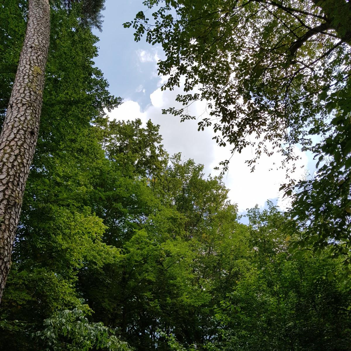 Restaurant "Naturfreundehaus" in  Kandel