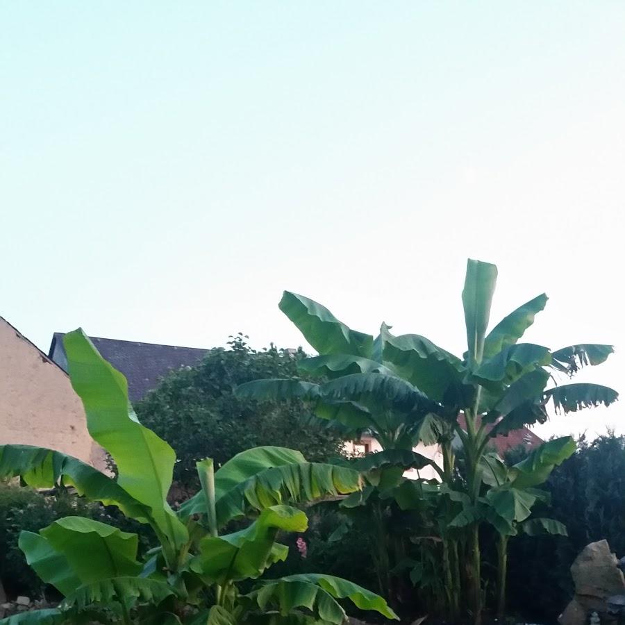 Restaurant "Hühnerstall Erlebniswelt" in  Landscheid