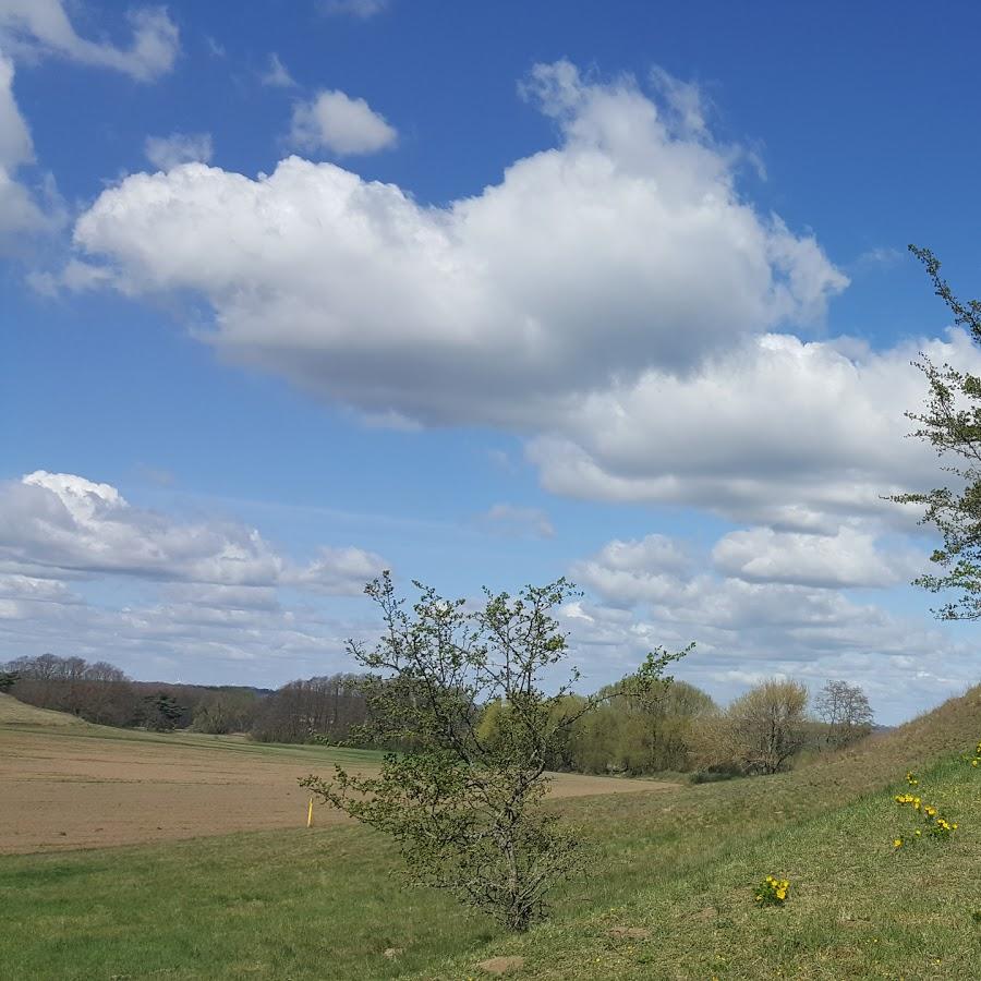 Restaurant "Gaststätte Adonisröschen" in  Lebus