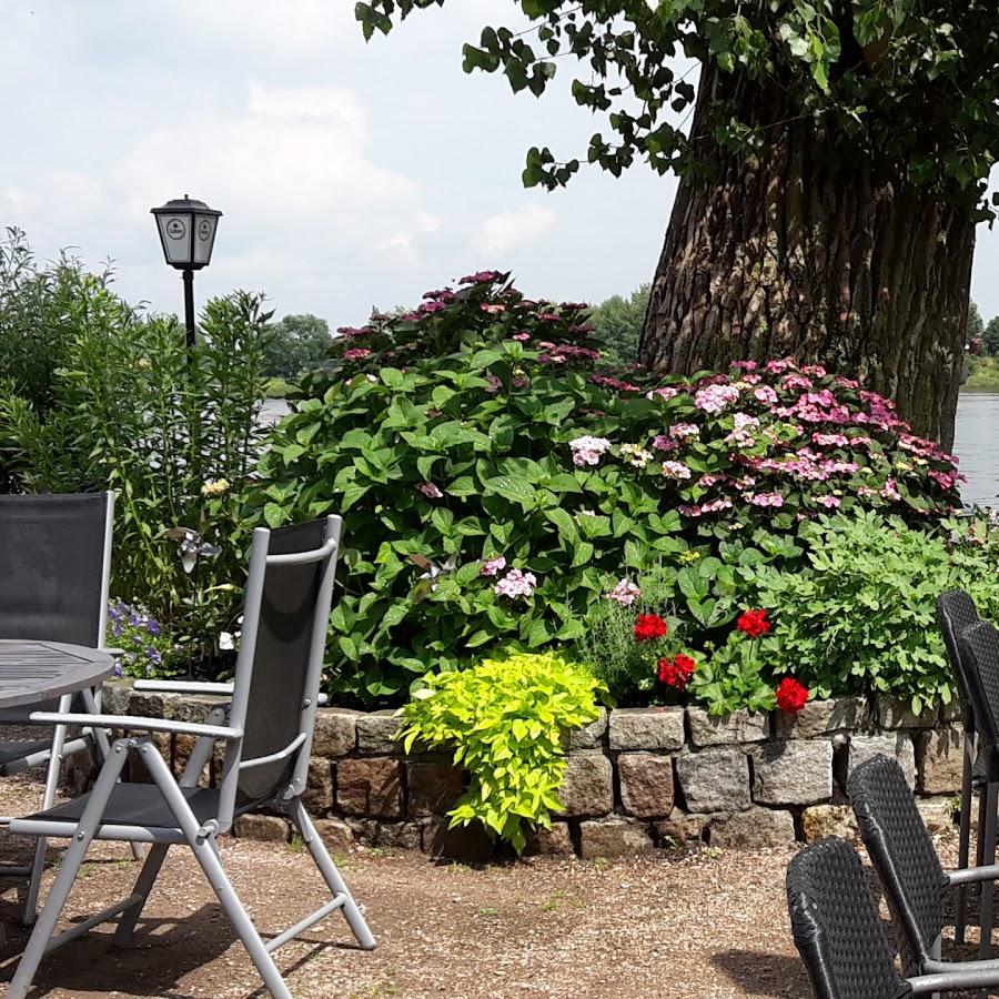 Restaurant "Strandhalle Over an der Elbe" in  Seevetal