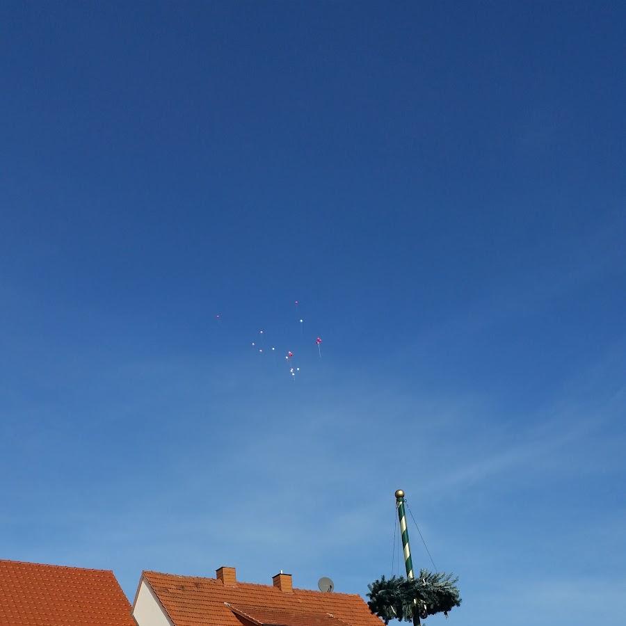 Restaurant "Landgasthof Zum Adler" in Burghaun