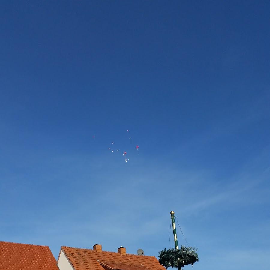 Restaurant "Landgasthof Zum Adler" in  Burghaun