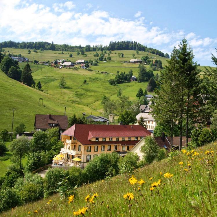 Restaurant "Vitalhotel Grüner Baum" in  Todtnau
