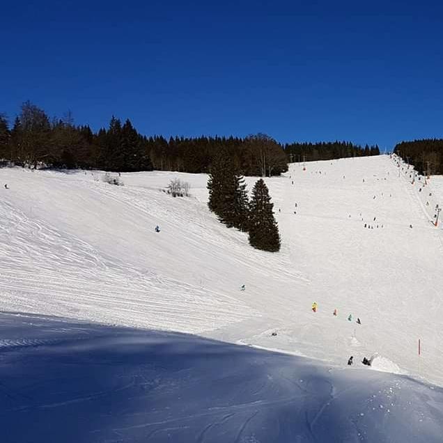 Restaurant "Sonnenwinkel Hütte" in  Todtnau