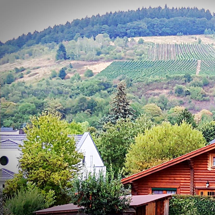 Restaurant "Hotel Grefen" in  Schweich