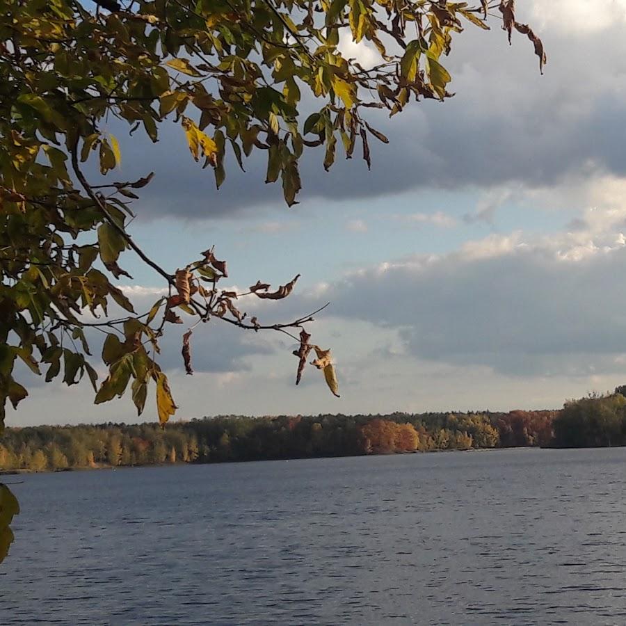 Restaurant "Einkehr  Am alten Wehr " in  Senftenberg