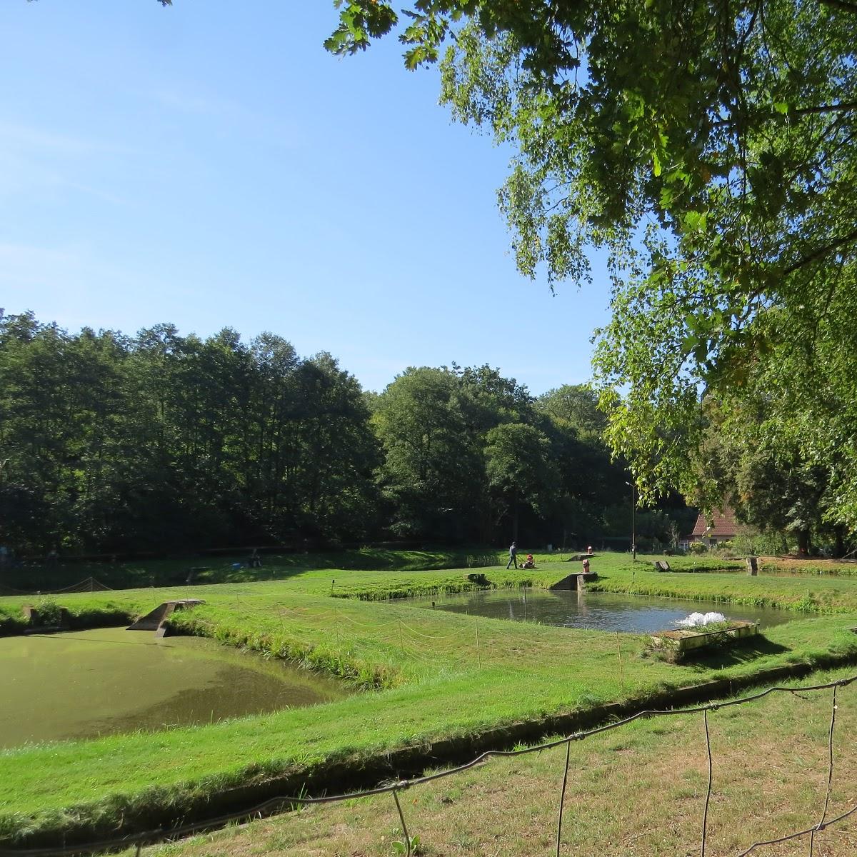 Restaurant "Fischteiche und Räucherei" in  Stuer
