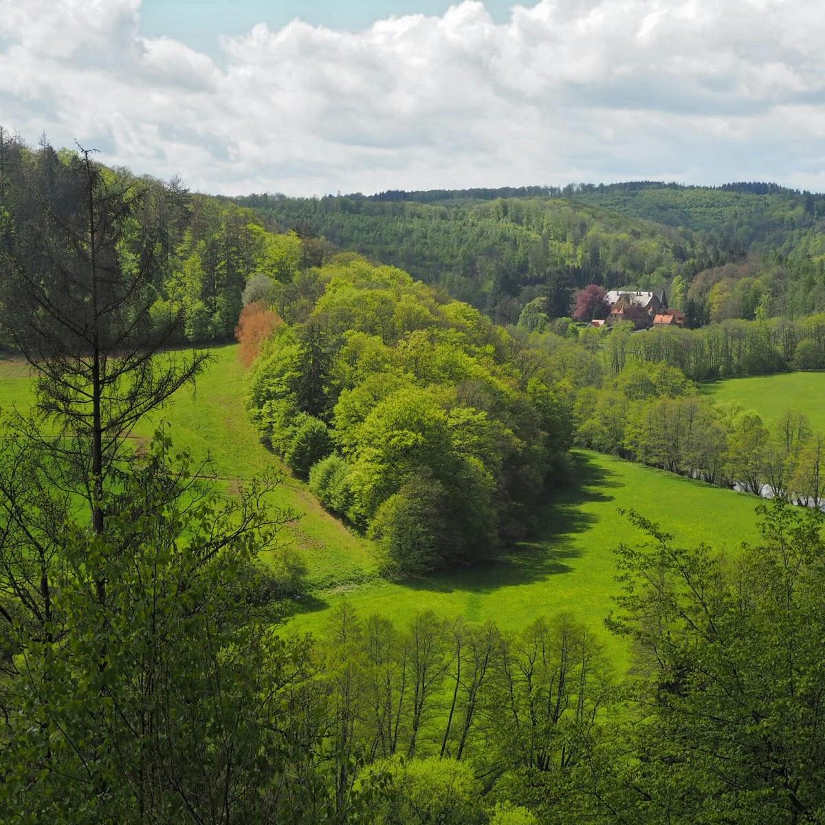 Restaurant "Gasthaus-Pension Eierdanz" in  Vöhl