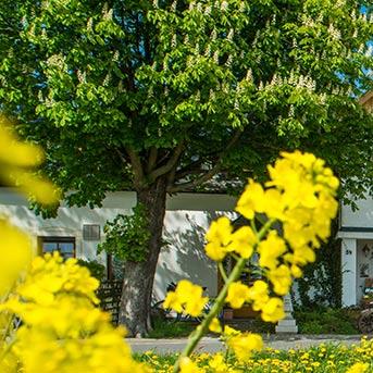Restaurant "Berggasthof Heiterer Blick - Klaus Pfretzschner" in Markneukirchen