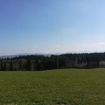 Restaurant "Allgäuer Partyservice" in  (Allgäu)