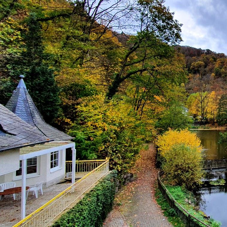Restaurant "Am Schwanenweiher" in  Bertrich