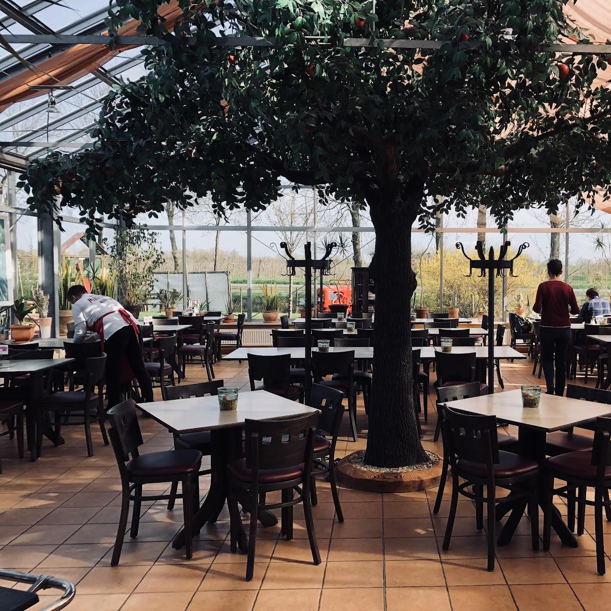 Restaurant "Obsthof Matthies" in Jork