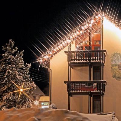 Restaurant "Landgasthof und Hotel Berglandstübel" in  Muldenhammer