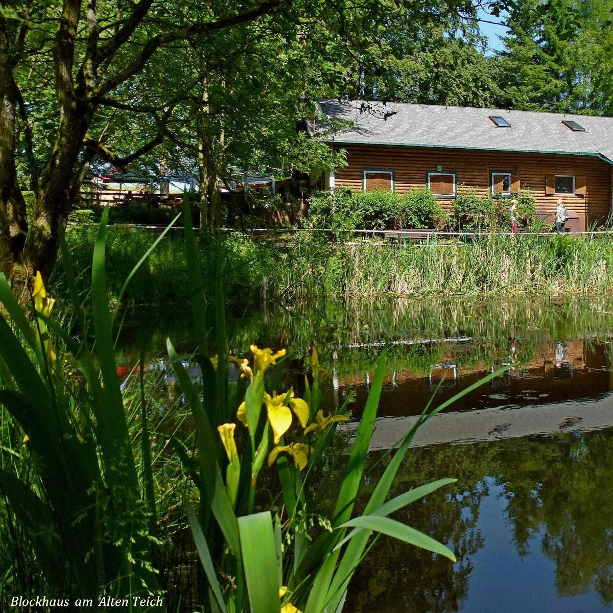 Restaurant "Waldschenke  Zum alten Teich " in  Schmalkalden