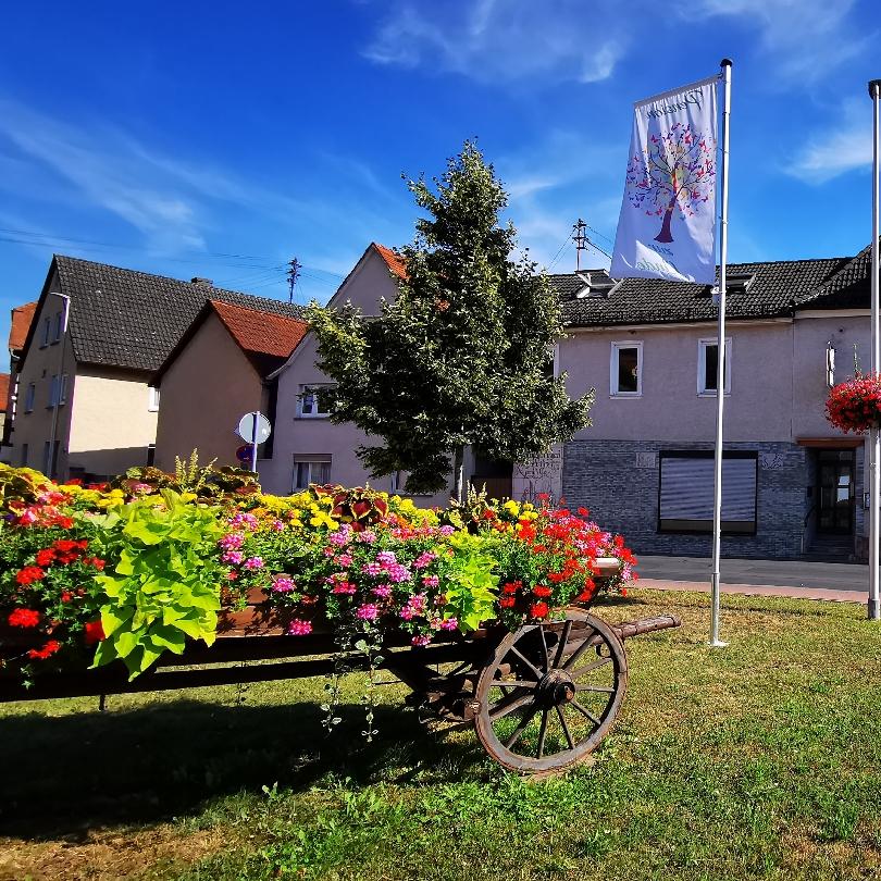 Restaurant "Pension zur Linde & Der  kleine  Biergarten" in  Kleinwallstadt